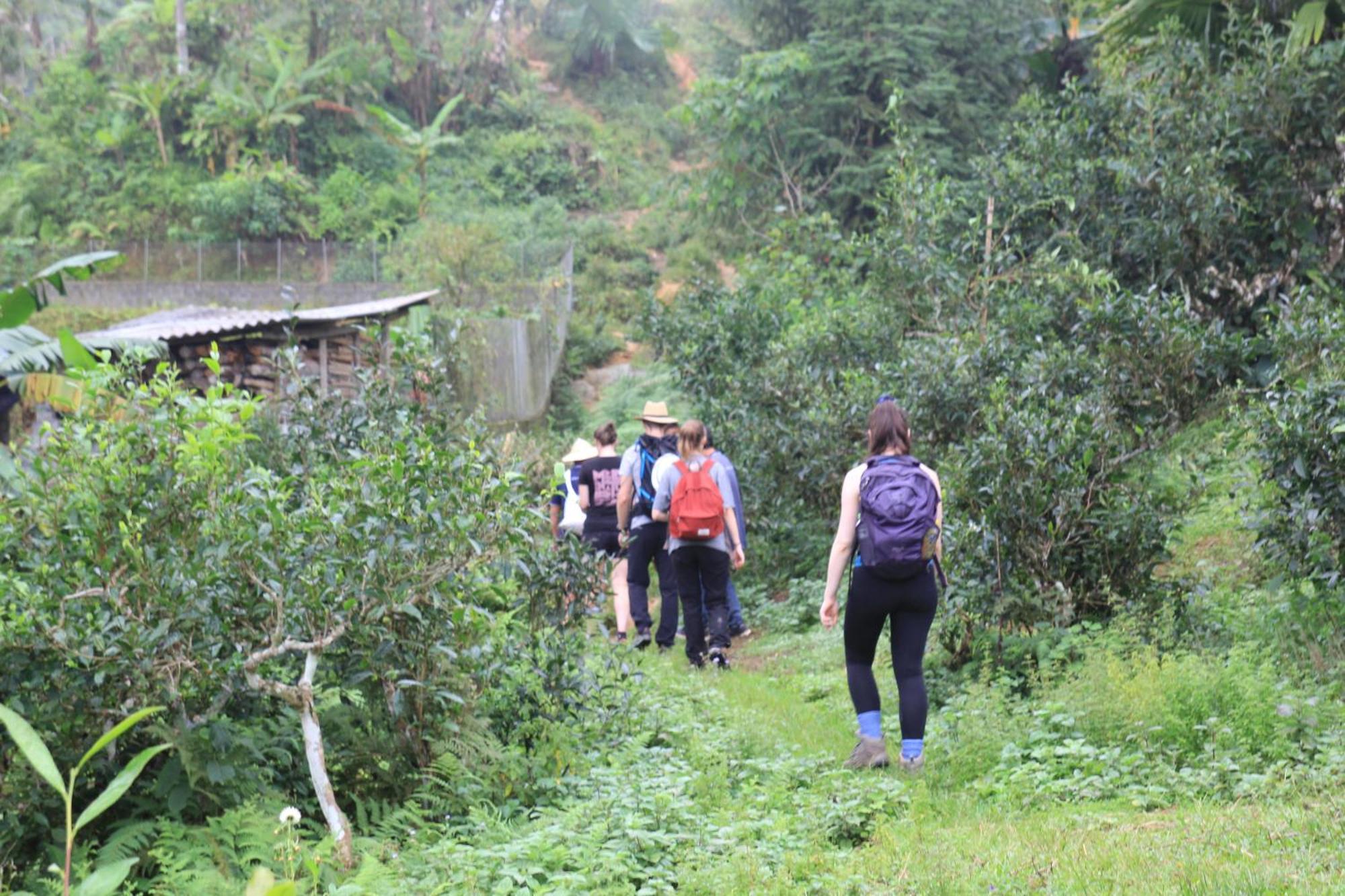 하 기앙 Thavill Retreat Hagiang 아파트 외부 사진