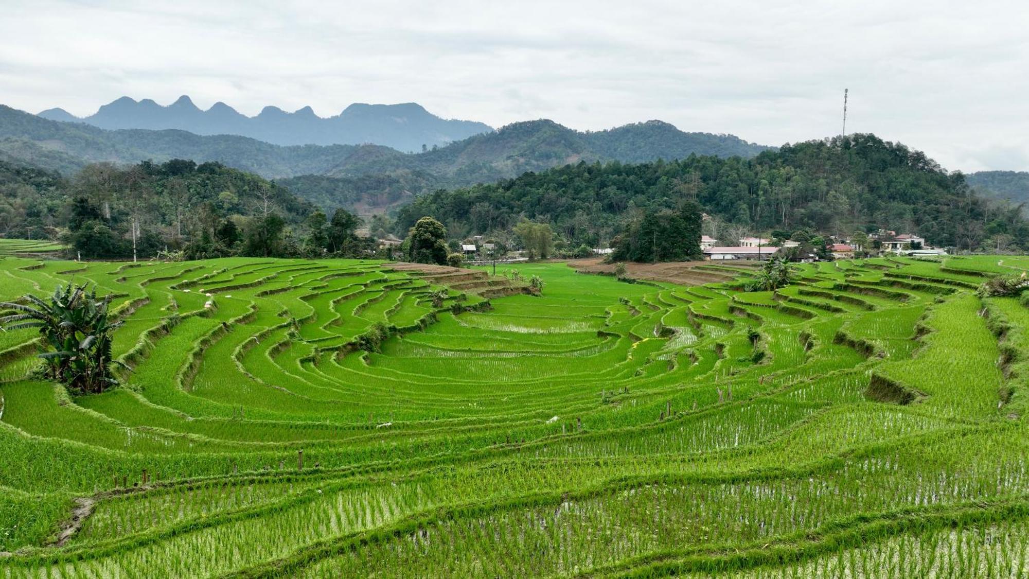 하 기앙 Thavill Retreat Hagiang 아파트 외부 사진