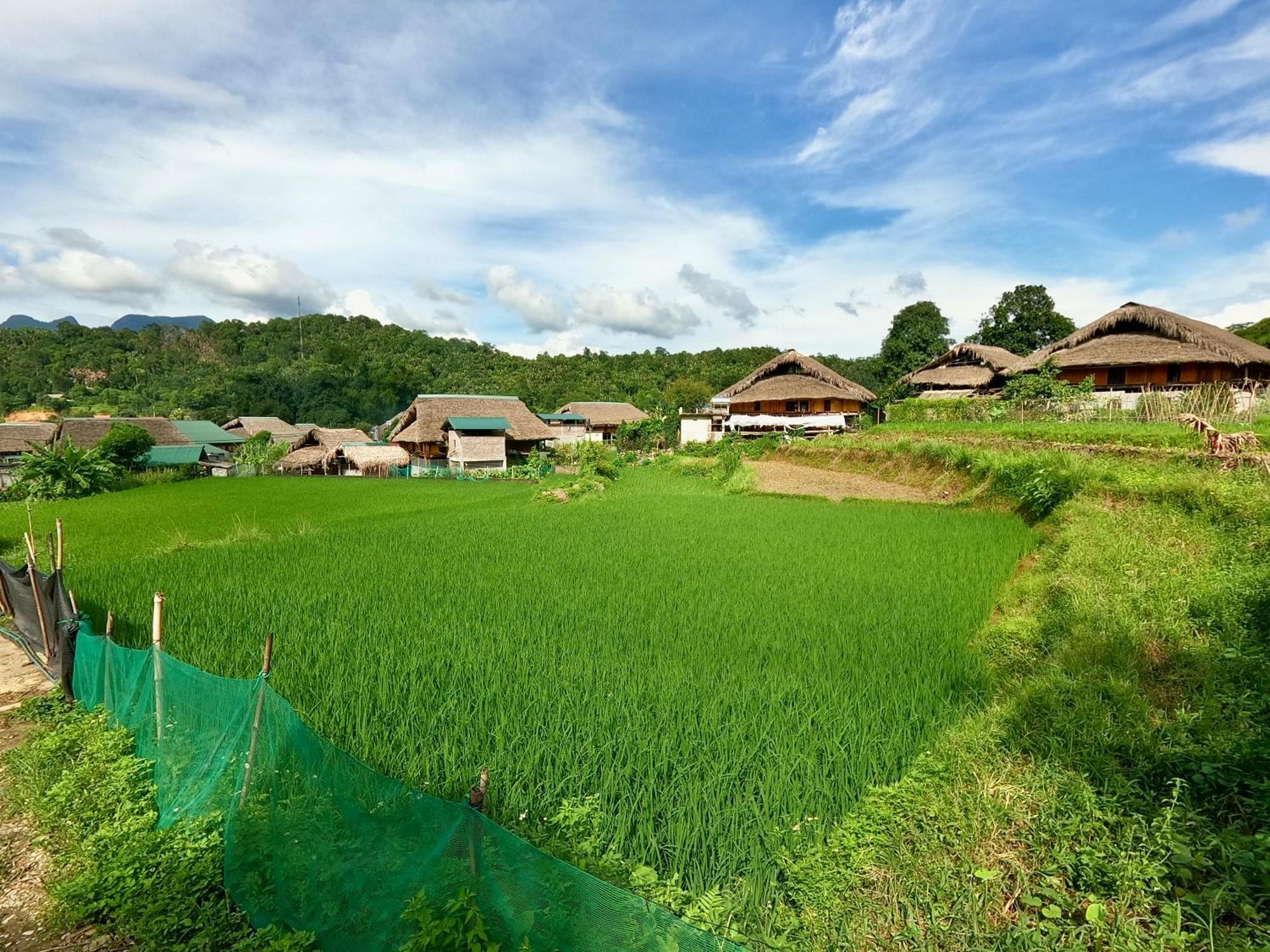 하 기앙 Thavill Retreat Hagiang 아파트 외부 사진